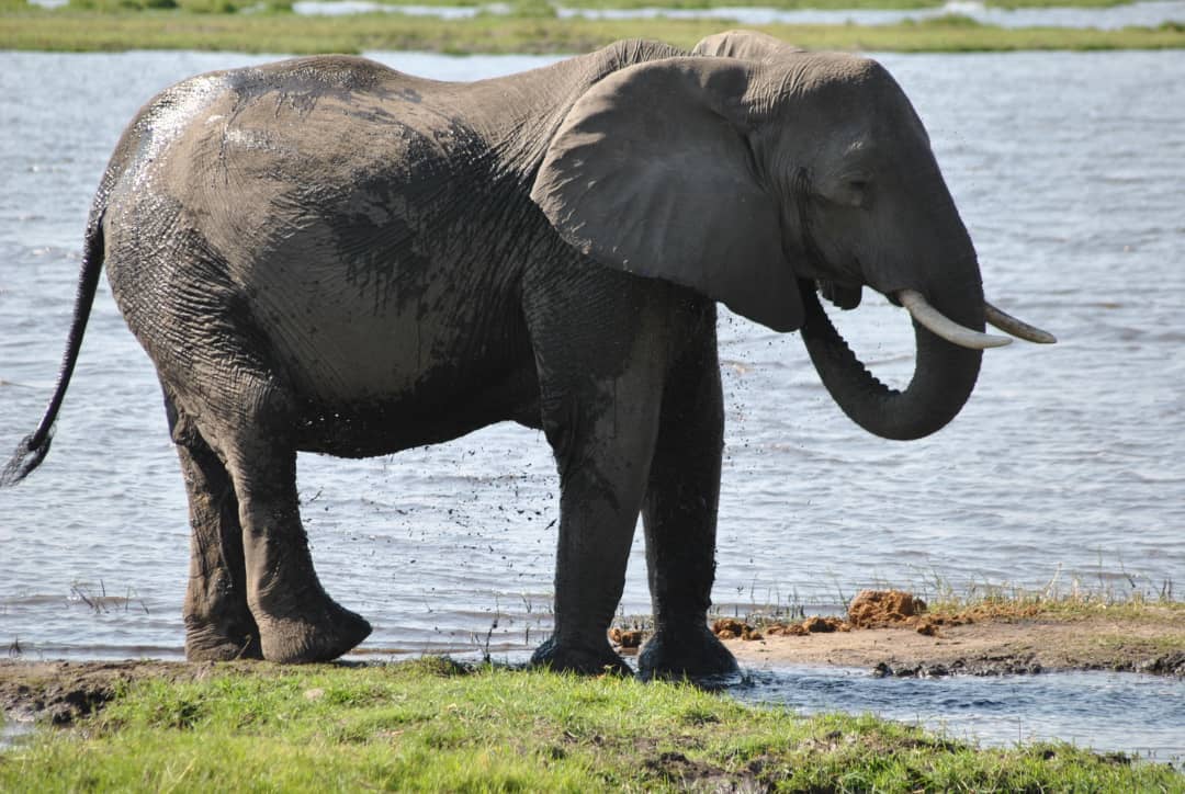 Mobirise Website Builder