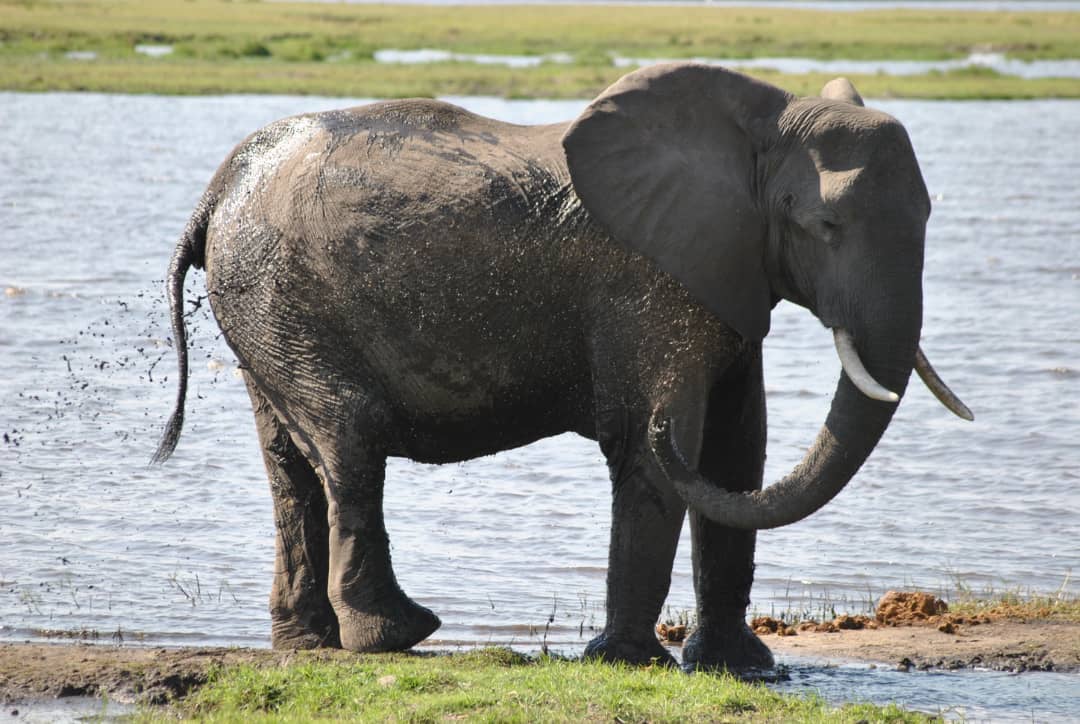 Mobirise Website Builder